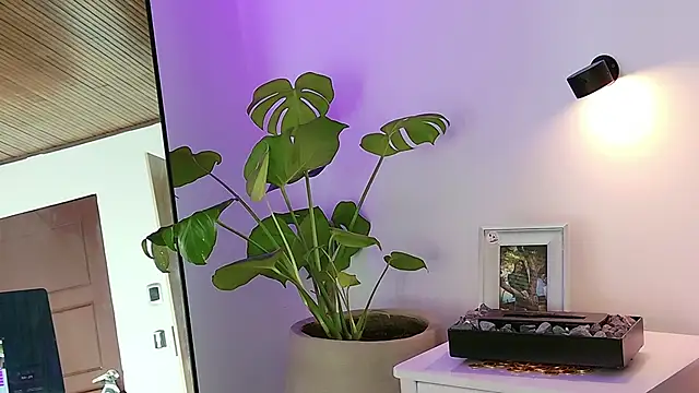 ABY509 online show from March 20, 12:44 am