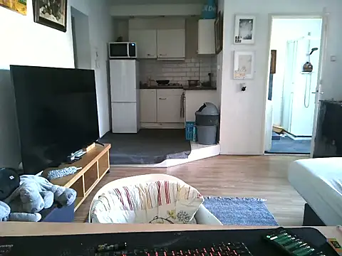 mihaimichael online show from April 7, 2:41 pm