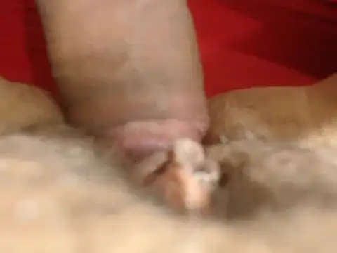 Snapshot of lolamike19 chatting on November 18, 10:29 am lolamike19 online show from November 18, 10:29 am