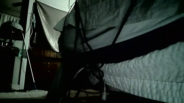 paiday online show from December 26, 12:59 pm