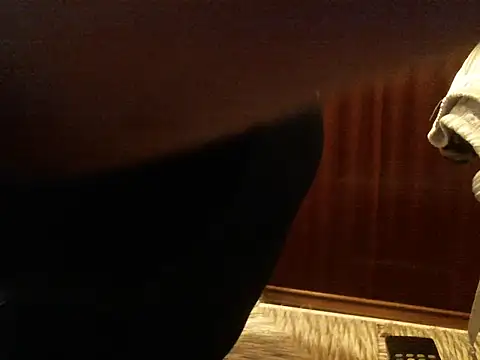 bravo23toro online show from January 12, 3:46 am