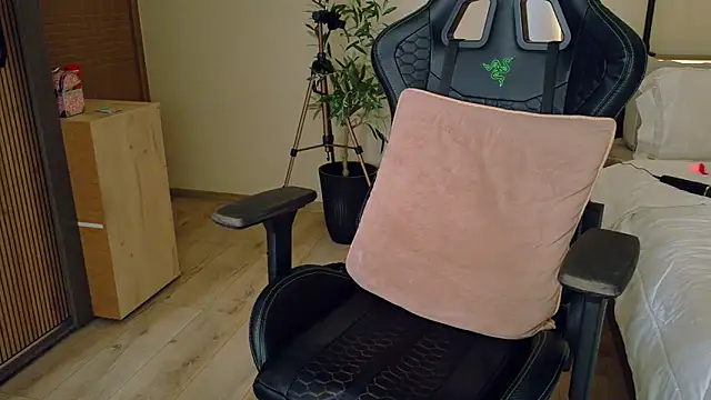 joycesilver online show from February 14, 7:52 am