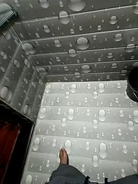 fullyhardy online show from November 6, 5:39 pm