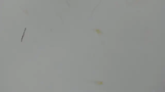 Snapshot of Antonellanospik_ chatting on March 16, 3:25 am Antonellanospik online show from March 16, 3:25 am