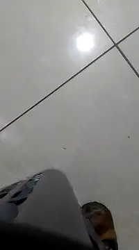 Snapshot of bogbosdick chatting on February 21, 10:59 pm bogbosdick online show from February 21, 10:59 pm