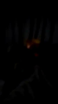 Snapshot of bogbosdick chatting on February 22, 3:12 am bogbosdick online show from February 22, 3:12 am