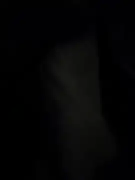 pipeload1275 online show from November 20, 7:53 am