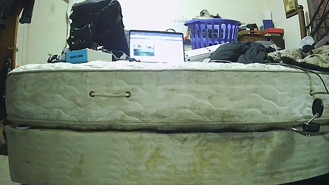 pipeload1275 online show from November 30, 5:30 am