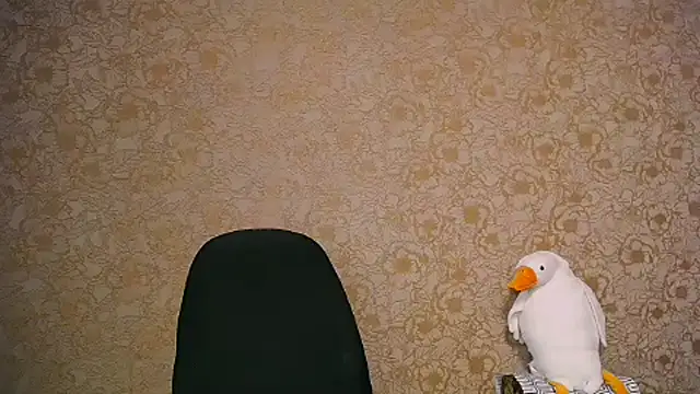  your fantasy girl online show from February 27, 11:28 am