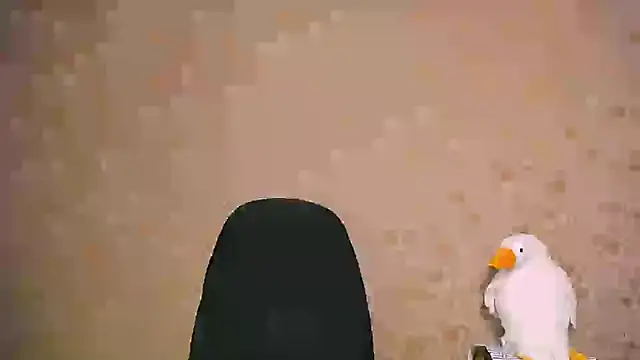  your fantasy girl online show from February 21, 1:00 pm