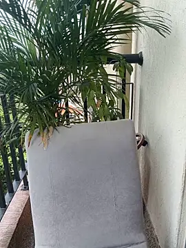 Pretty Isadora online show from March 4, 4:59 pm