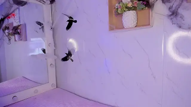 sabrinahimss online show from October 29, 4:33 am