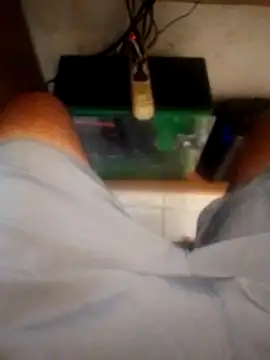 betinhodelas online show from October 18, 5:15 pm