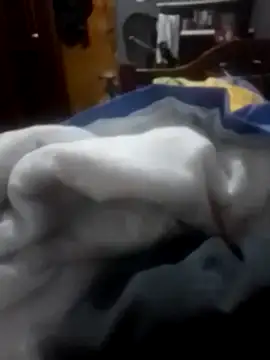 betinhodelas online show from February 3, 12:10 am