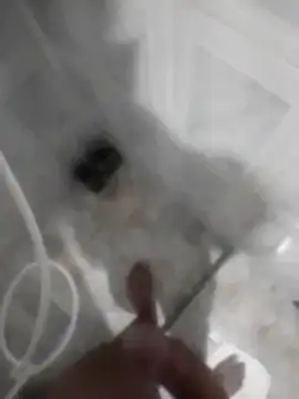 betinhodelas online show from November 30, 5:08 am