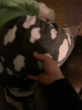 Snapshot of Natric24 chatting on February 9, 7:52 pm Natric24 online show from February 9, 7:52 pm