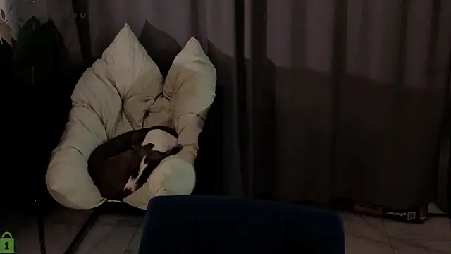 Eva Natsumi online show from January 14, 3:26 pm