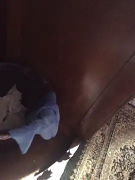 TangoingSorbet online show from November 2, 10:20 am