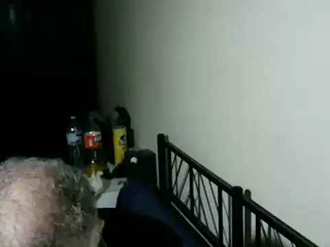 100Tauros online show from February 5, 10:38 pm