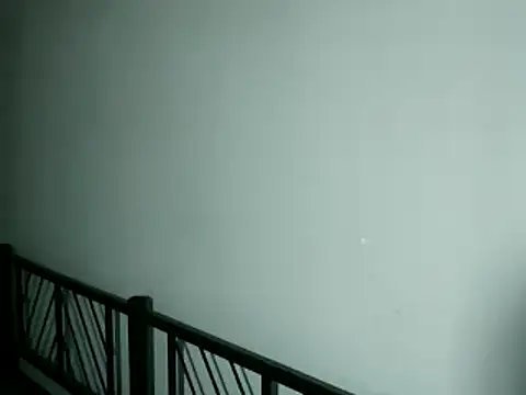 100Tauros online show from November 13, 10:35 pm