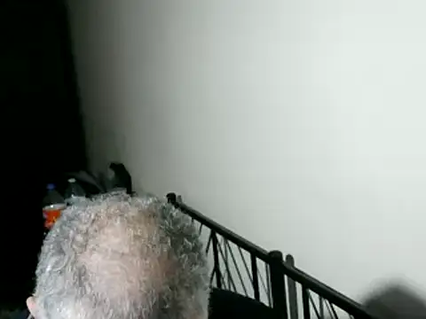 100Tauros online show from February 11, 10:53 pm