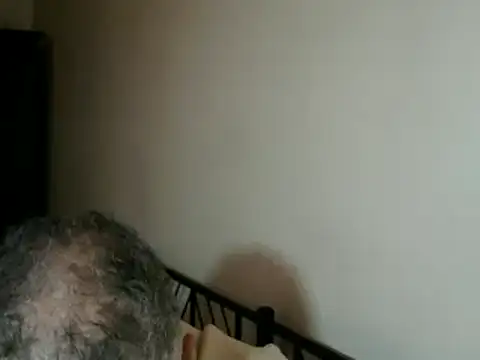 100Tauros online show from November 15, 2:43 pm