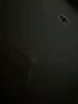 goldbuni online show from November 9, 12:42 pm