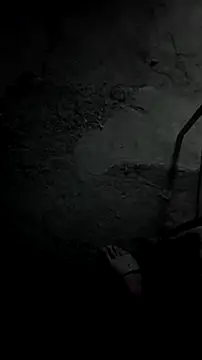 mendelicius online show from December 20, 10:29 am