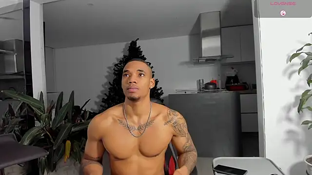 TROYWESLY- online show from December 16, 12:15 am