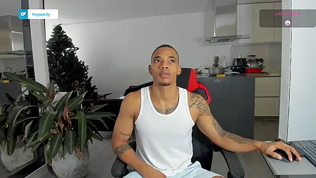 TROYWESLY- online show from January 13, 5:17 pm