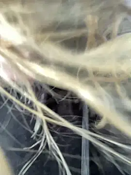 emma neko online show from April 15, 4:22 pm