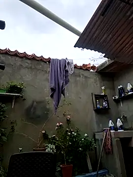 room 24funn online show from December 19, 3:14 pm