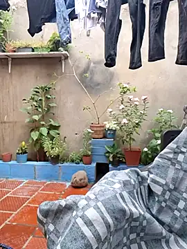 room 24funn online show from November 29, 3:23 pm