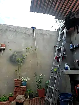 room 24funn online show from October 19, 2:31 pm