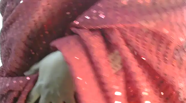 Snapshot of rehana88 chatting on March 17, 1:14 am rehana88 online show from March 17, 1:14 am