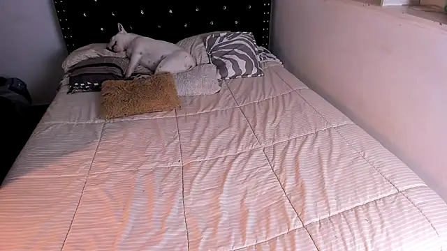Snapshot of valerie_luxe_ chatting on June 4, 5:34 am valerie luxe online show from June 4, 5:34 am