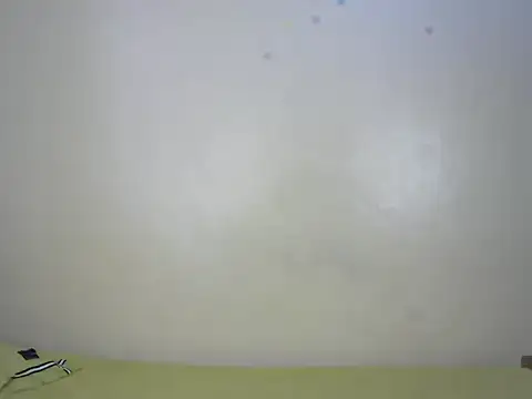 StarBarbiee online show from November 15, 10:08 am