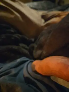 Snapshot of ruffuuss chatting on January 10, 8:09 am ruffuuss online show from January 10, 8:09 am