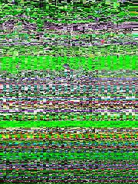 ericsex tw online show from November 13, 4:27 am