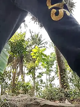 Snapshot of rayhan085 chatting on March 19, 8:23 am rayhan085 online show from March 19, 8:23 am