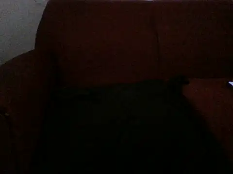 LECHEBALLS online show from April 27, 5:44 pm