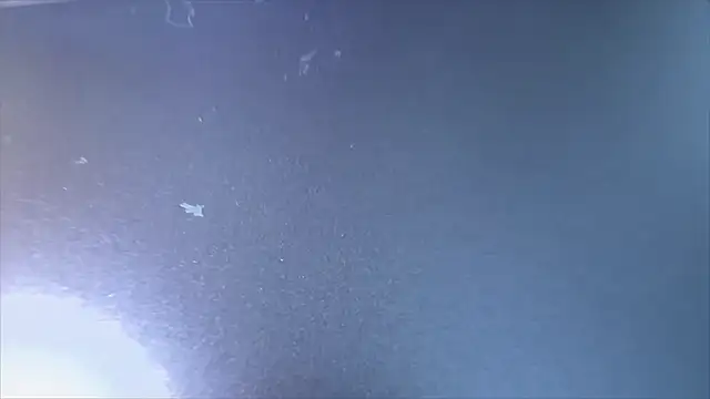 MyPhoenix online show from April 15, 6:52 am