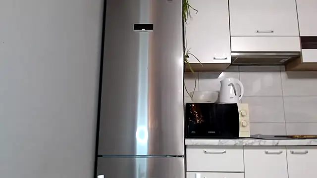 Snapshot of SierraSky_ chatting on December 15, 6:14 pm SierraSky online show from December 15, 6:14 pm