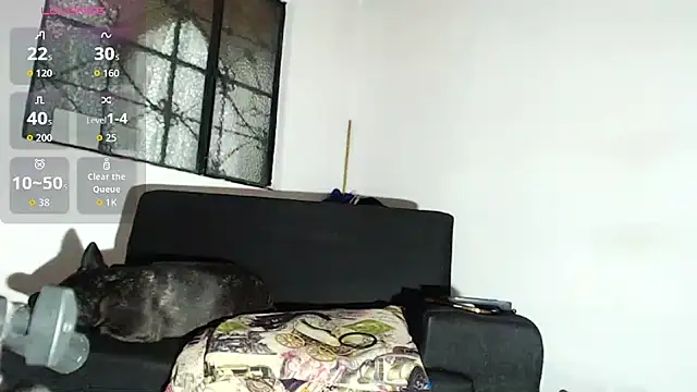 willian m777 online show from February 6, 4:52 am