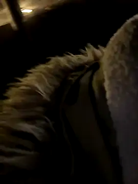 Snapshot of Ner0924_N chatting on December 2, 4:26 pm Ner0924 N online show from December 2, 4:26 pm