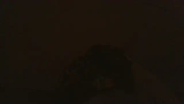 iaradias online show from December 2, 12:18 pm