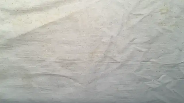 beforeyou69 online show from November 6, 8:07 am