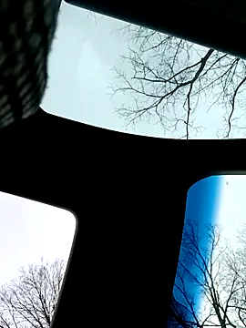 Alfrendino44 online show from February 19, 8:50 pm