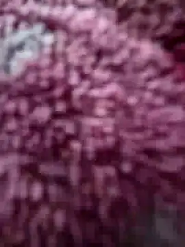 katymojadit online show from February 16, 12:59 pm