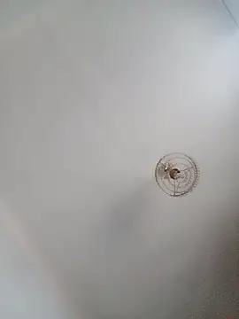 katymojadit online show from January 20, 3:28 pm